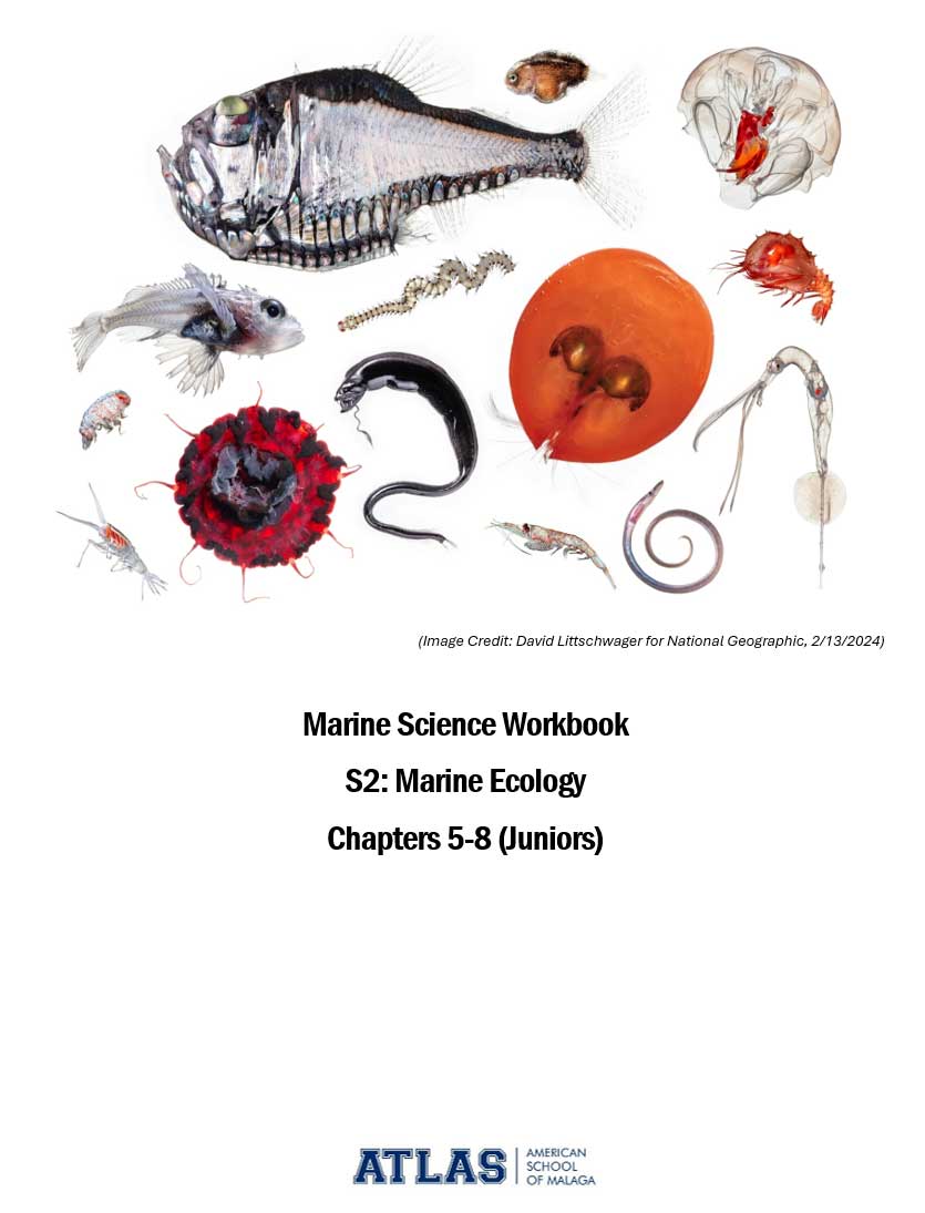 Marine Science Workbook Vol. 1 and Vol. 2