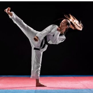 Shorinji Kempo